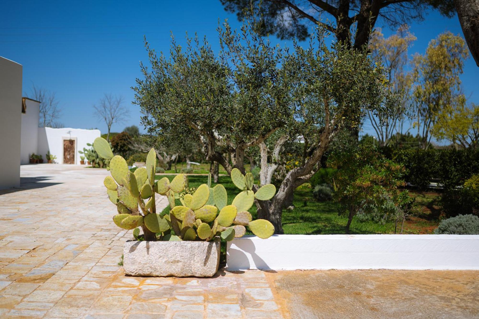 Masseria San Michele Martina Franca Exterior photo